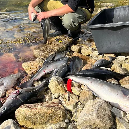 Cozy In With Sauna Дом отдыха *