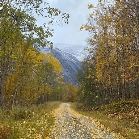 Cozy In With Sauna Дом отдыха Elvegard